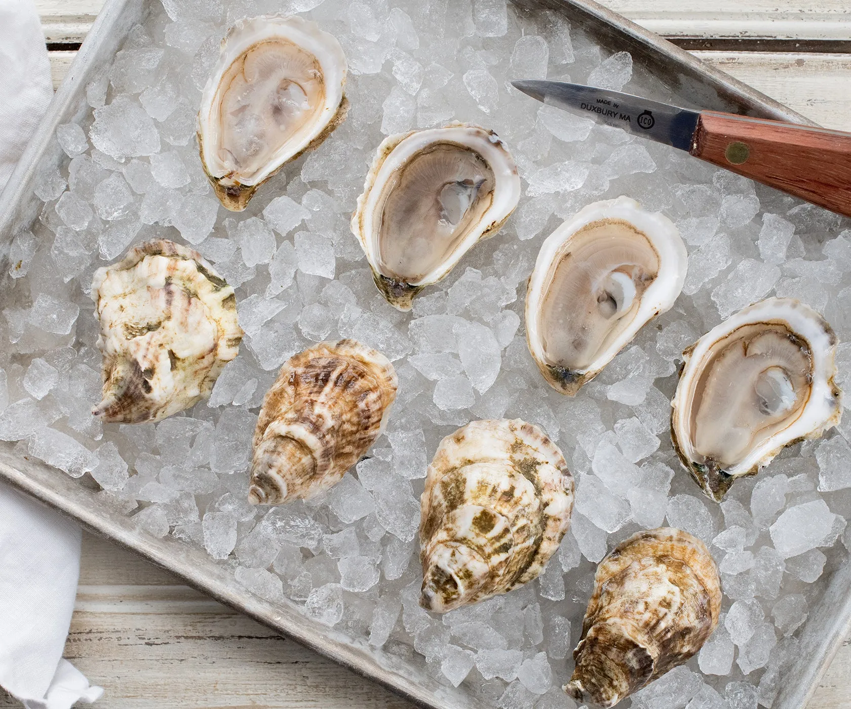 Crowes Pasture Oysters from Dennis, MA